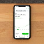 Robinhood margin borrowing